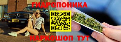 тгк Партизанск