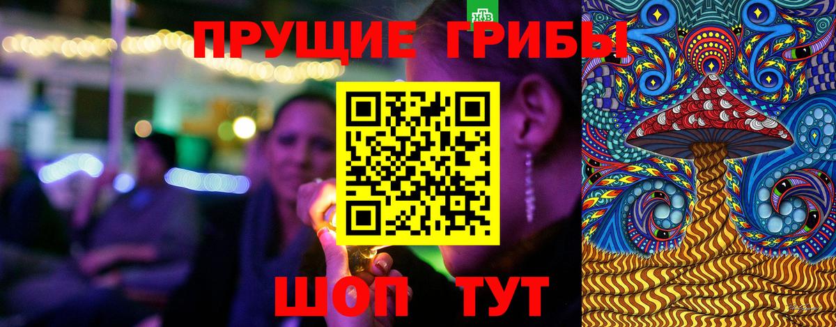 Изобильный  Псилоцибиновые грибы GOLDEN TEACHER  Вход с VPN  Псилоцибиновые грибы мицелий 